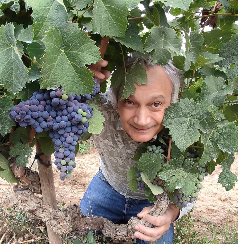 Joan Asens – Naturaa Joan Asens – Naturaa