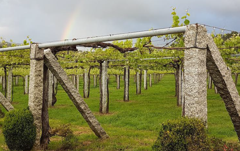 Bodega Carballal