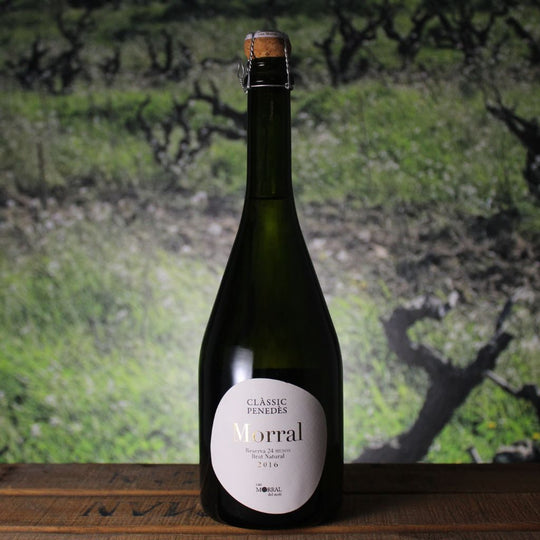 Clàssic Penedès Morral 24 mesos