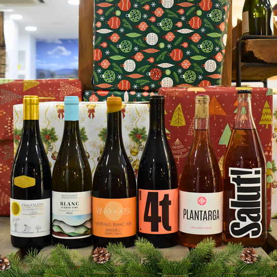 SELECCIÓN DE NAVIDAD 4